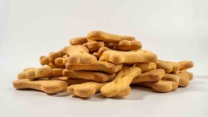 biscotti per cani
